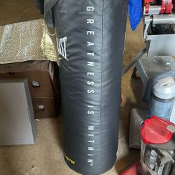Boxing Bag
