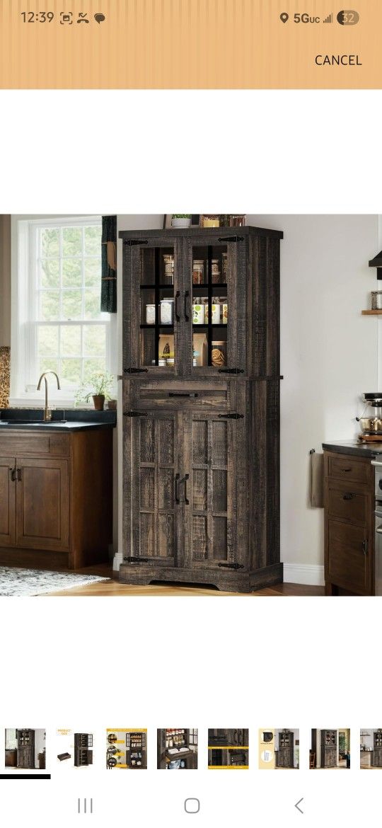 Cabinet For Pantry Or Storage
