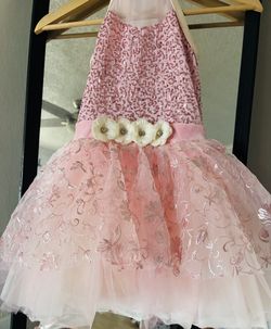 Ballerina Pink Dress