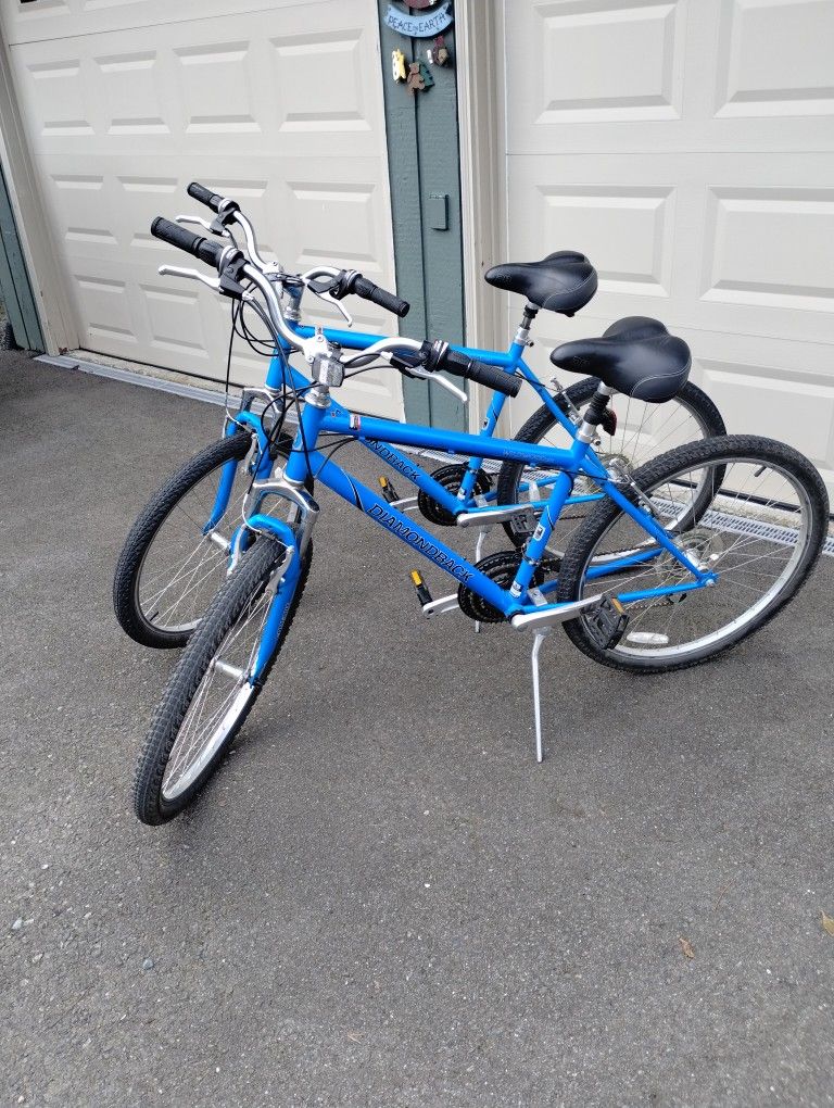 Diamondback Bikes (2)