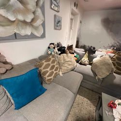 Gray Sofa 