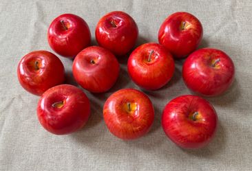 Fake Plastic Apples(10)