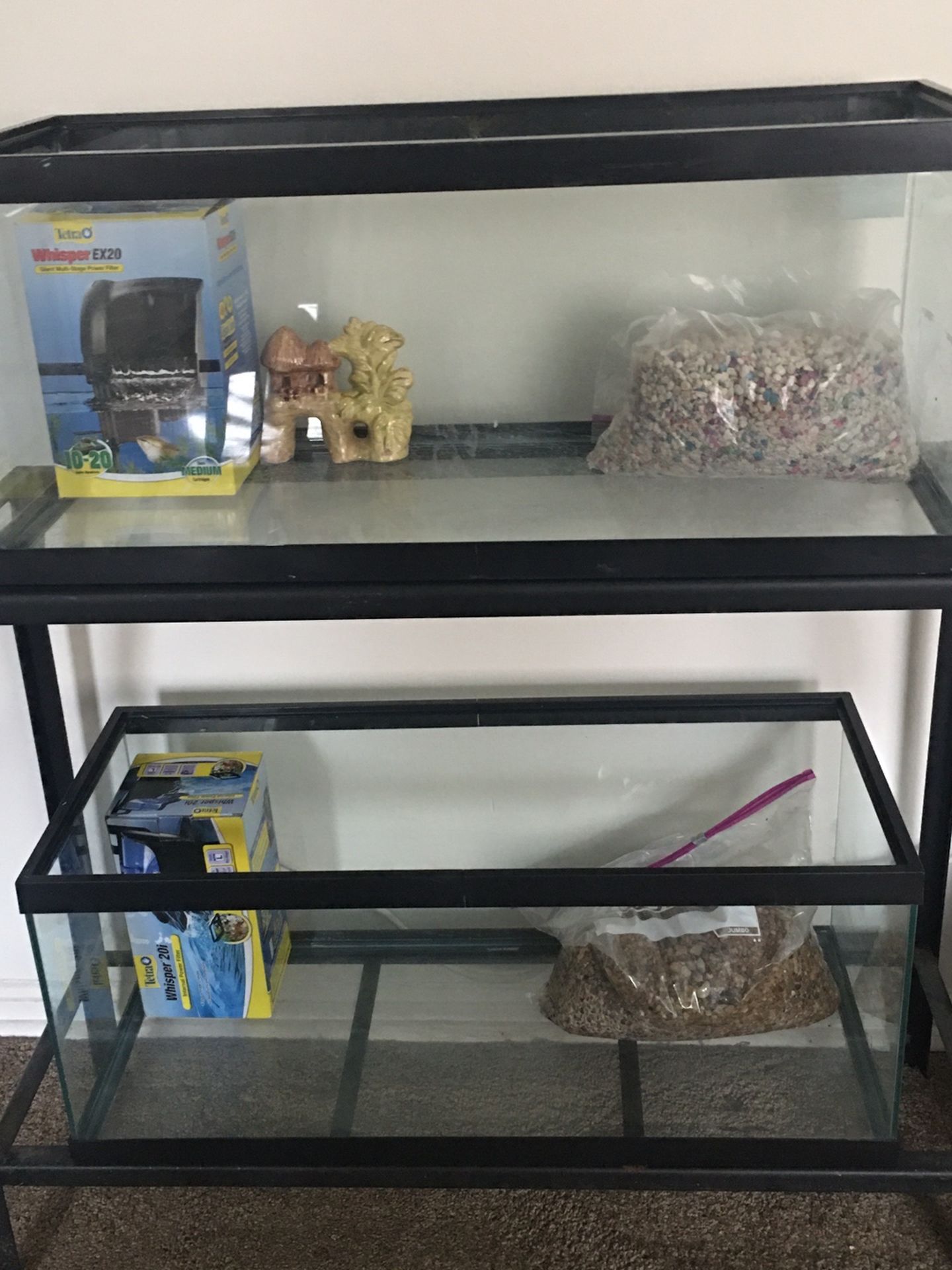 Two 20 Gallon Aquariums