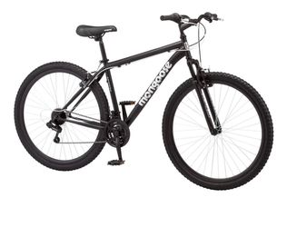 29” Bike (great condition)