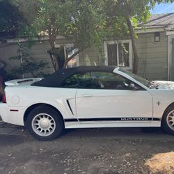 2002 Mustang 