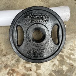 Single 25 lbs Olympic Weight Plate 