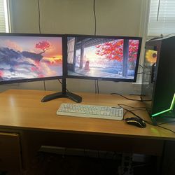 (2) VS248 Monitors + Dual Monitor Stand Set Up