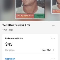 Ted kluszenski great condition