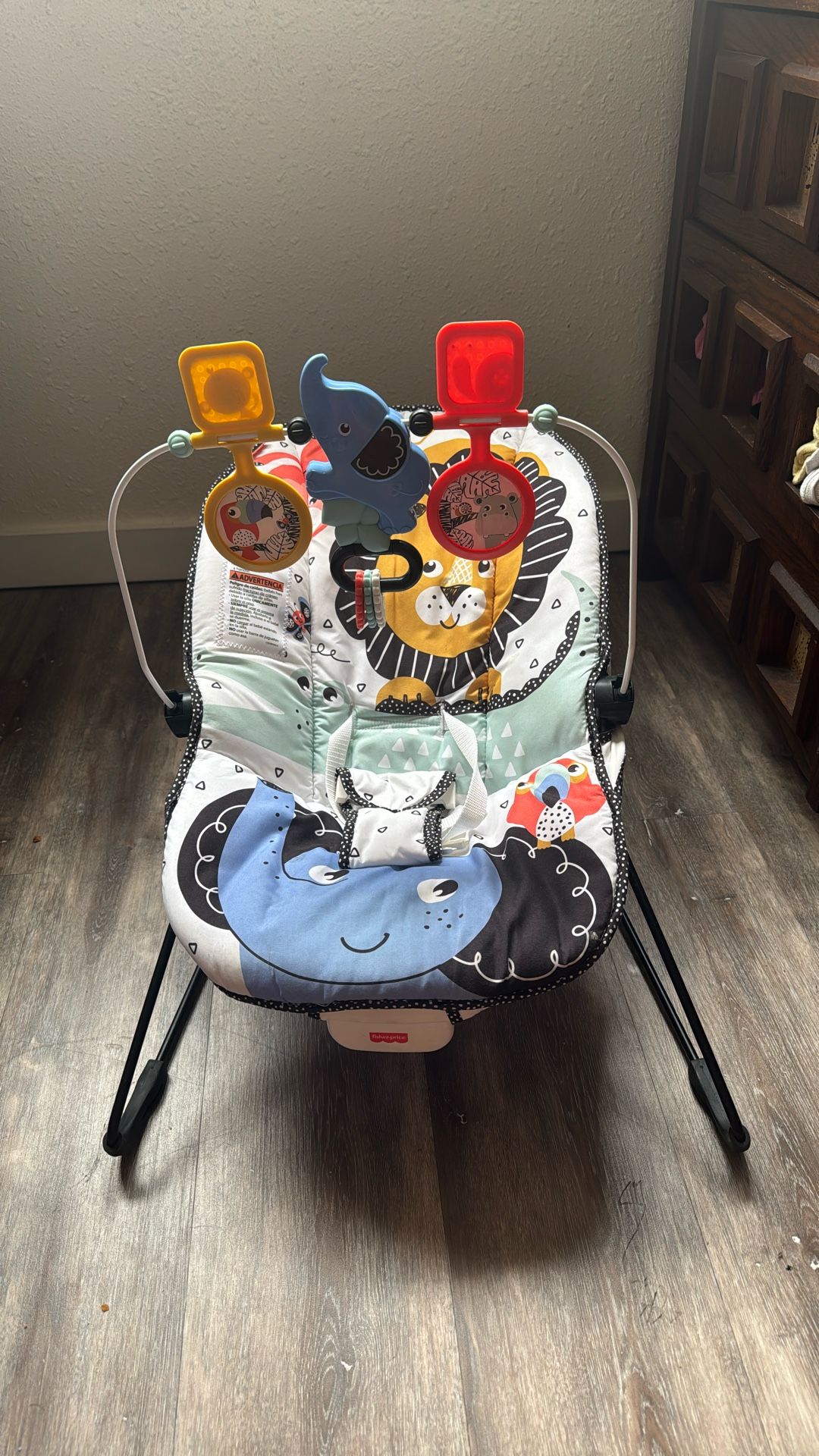 Fisher Price Baby Bouncer