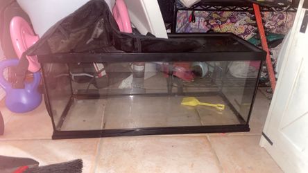 Terrarium, fish tank