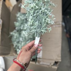 Party/ Decor/ Home / Vases / Mirror