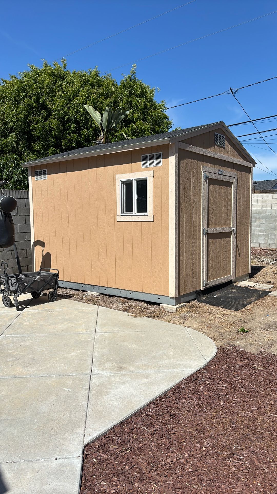 Shed