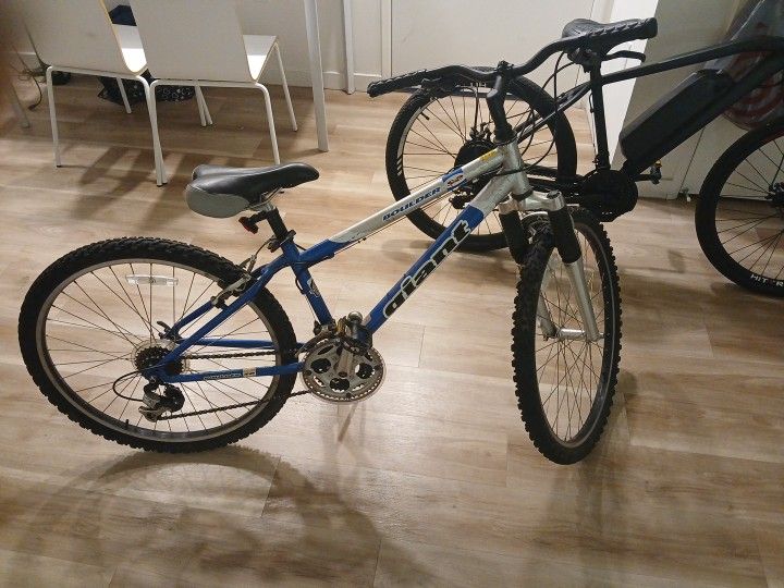 Mountain Bike For Sale Runs Grate