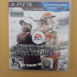 PS3 TIGER WOODS PGA TOUR 13