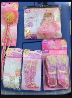 Disney Sleeping Beauty Costume Accessories