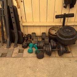 Entire Set Weights 