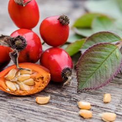 Organic dried antioxidant rosehip tea.
