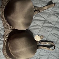 Torrid Bra Brand New 