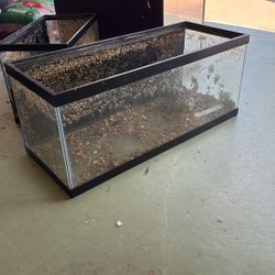  20 Gallon Long Aquarium / Fish Tank – Needs Cleaning