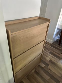 Shoe storage cabinet