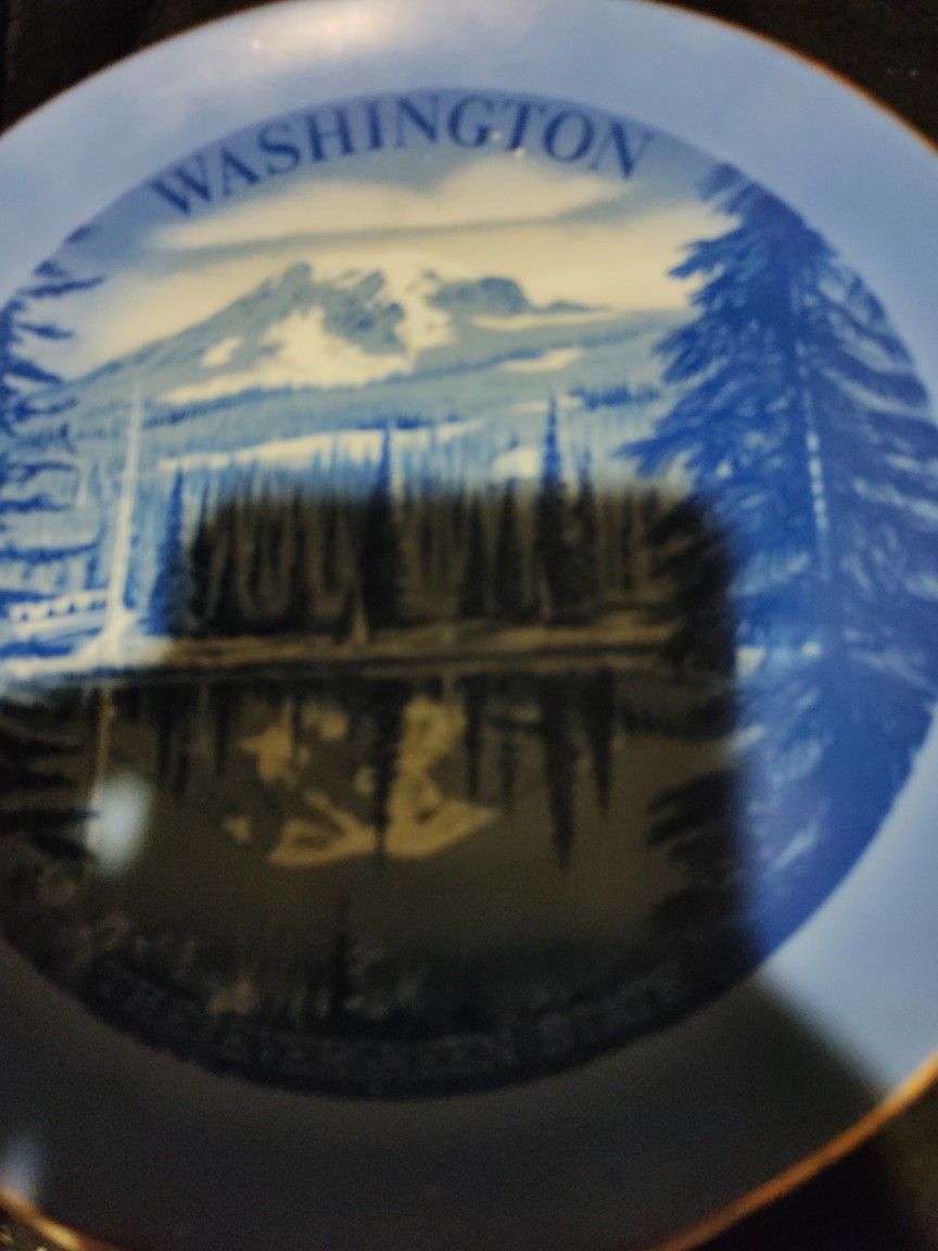 Washington The Evergreen State Plate