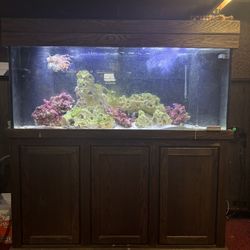 125 Gallon Fish Tank