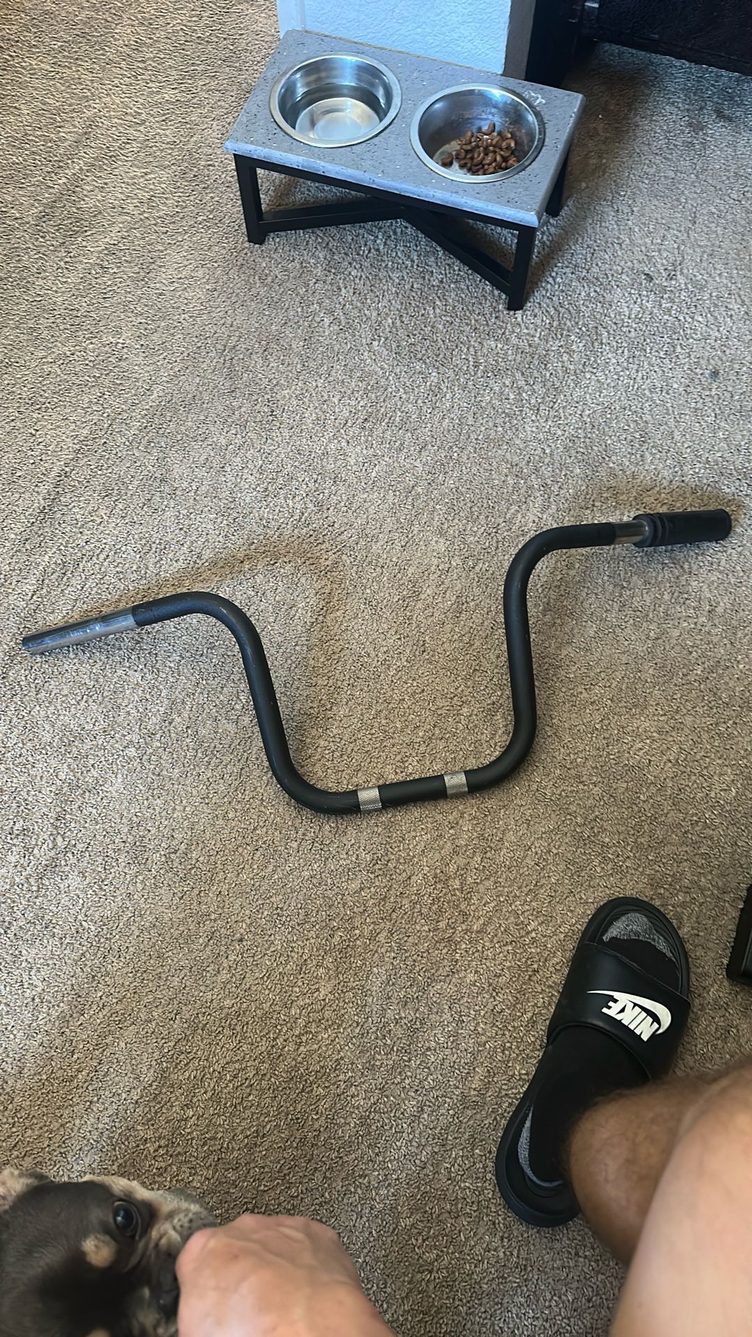 2020 Harley Davidson Street Bob Handlebars