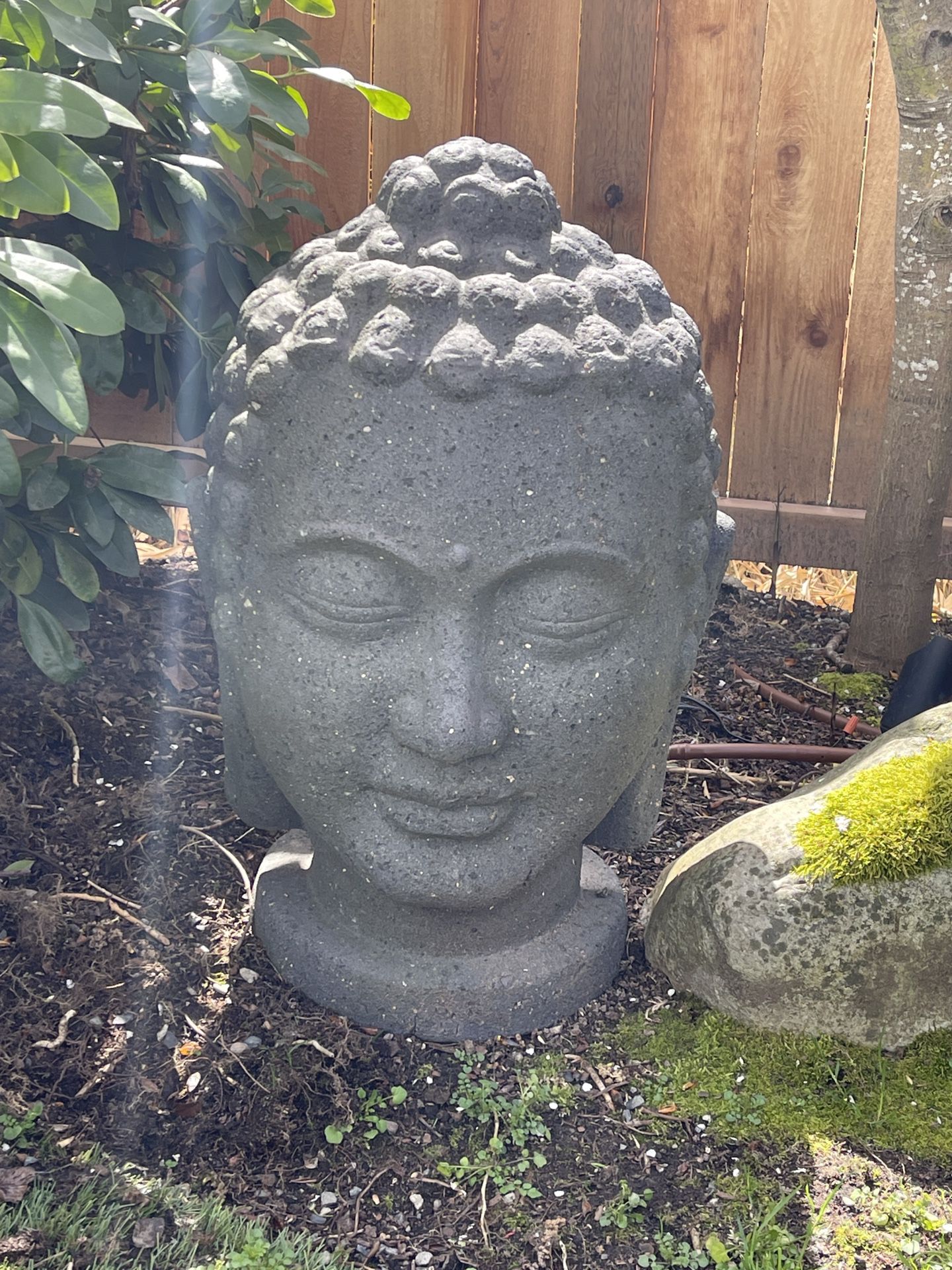 Yard art-extra Large Budda Head Statue 