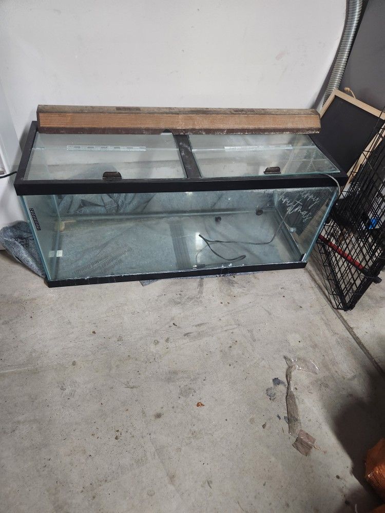 Fish Tank