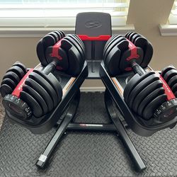 Bowflex 552 Dumbbell Set With Stand