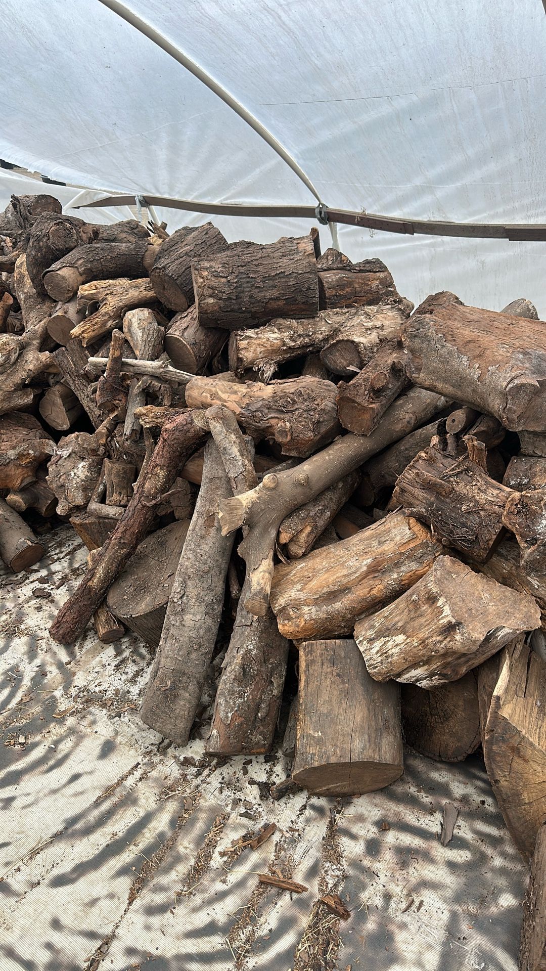 Firewood