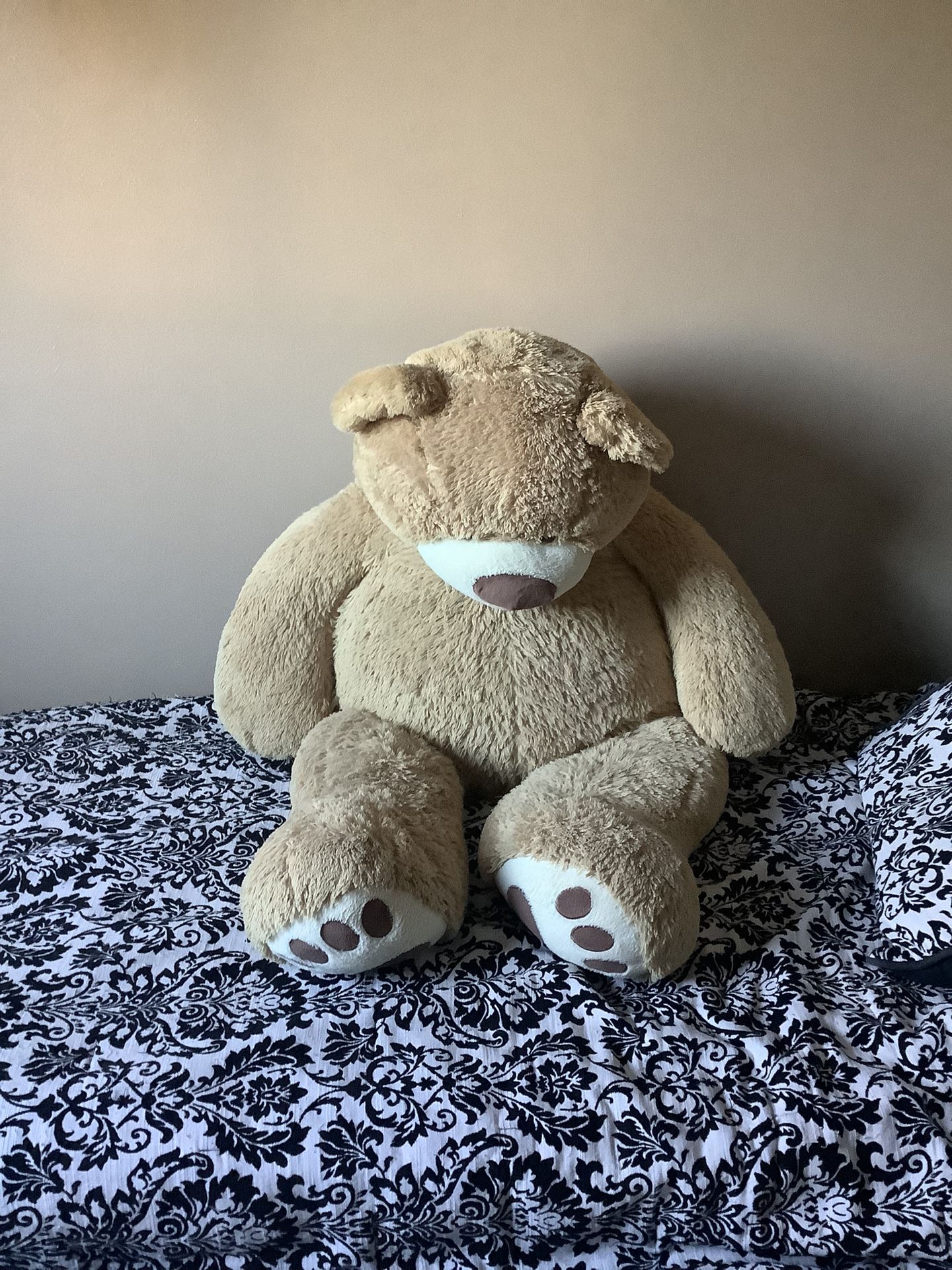 Huge Teddy Bear