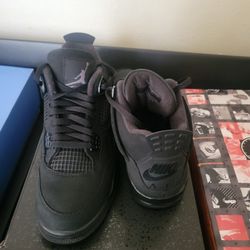 Black Cat 4 Sz11