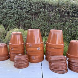 Pennington  10 & 12 in. Medium Terra Cotta Clay Pots and Dishes