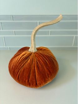 Hot Skwash Silk Velvet 5” Pumpkin Signed By Daria