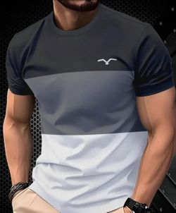 Multicolor Men's T-Shirts  M,L