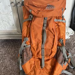 Kelty Courser 40