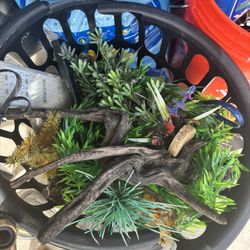 Aquarium Accessories 