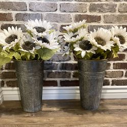 Set Of 2 Tall Containers/Flower Pots 