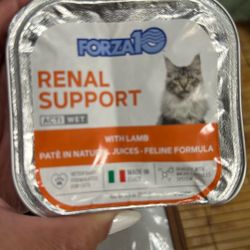 Cat Food 