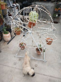 Very Unique Ferris 🎡 Wheel  Planter All Mrtal
