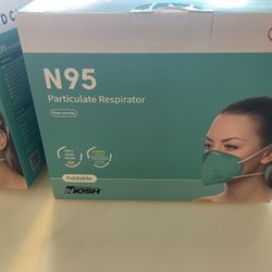 N95 Face Masks 