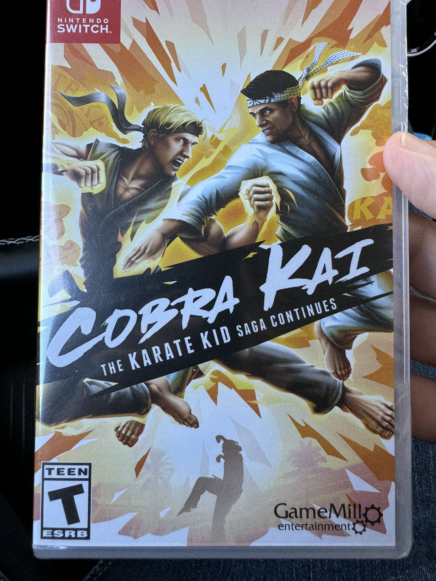 Cobra Kai Nintendo Switch