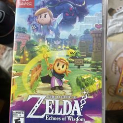 Zelda: Echoes Of Wisdom