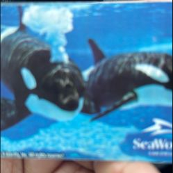4 Sea World Tickets ($30 each one)