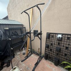 Pull-Up and Dip Station