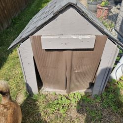 Dog House