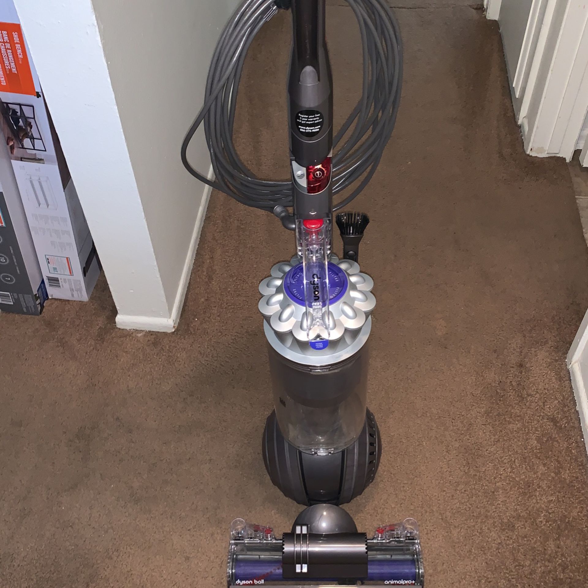 New Dyson Ball With Accessories And Bag PET PRO+