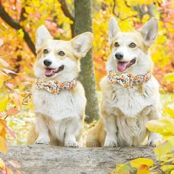 Soft Dog Bow Tie Collar Adjustable 