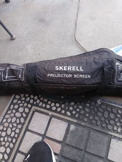 Portable projector screen